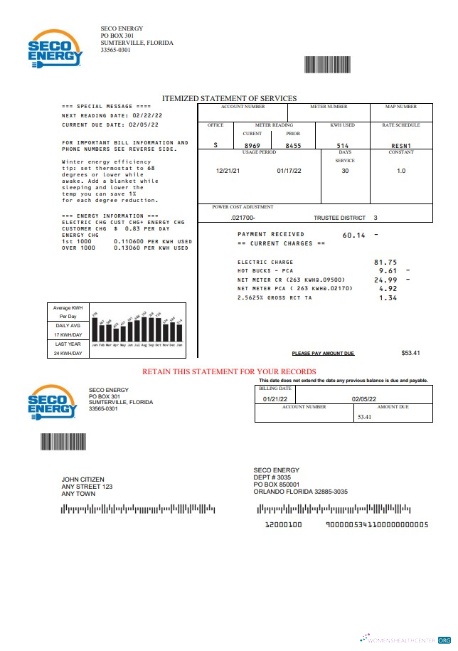 download download USA Florida Seco Energy utility bill template in Word and PDF format PDF template PDF template